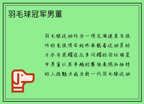 羽毛球冠军男董